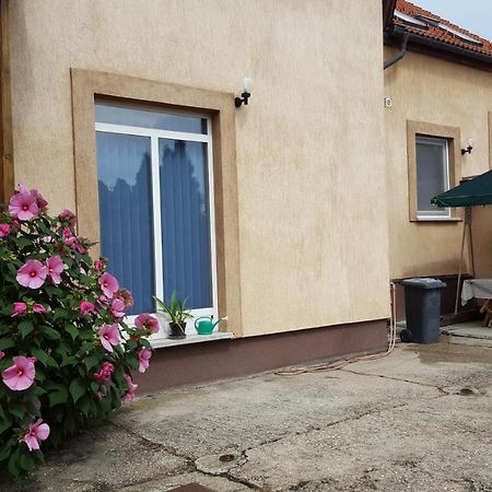 Csoka Panzio Bed and Breakfast Zalaegerszeg Esterno foto